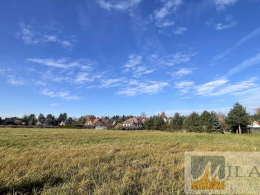 Działka Bolechowice