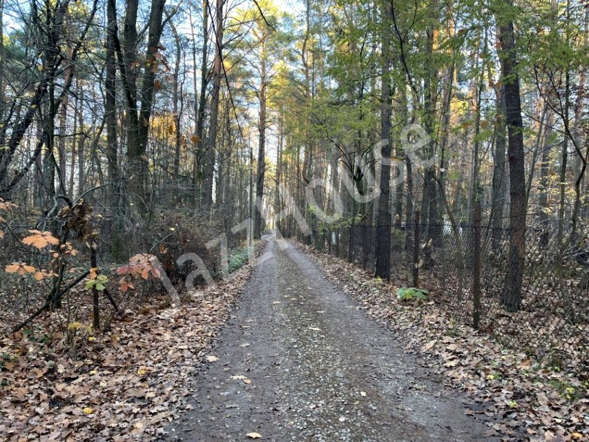 Działka leśna Siestrzeń