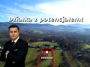 Działka Łazy