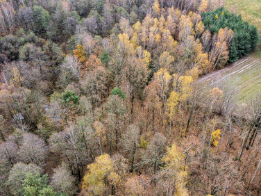 Działka Majdan Sieniawski