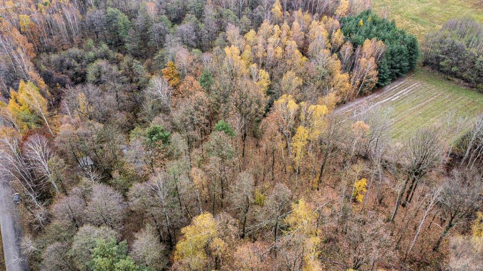 Działka Majdan Sieniawski