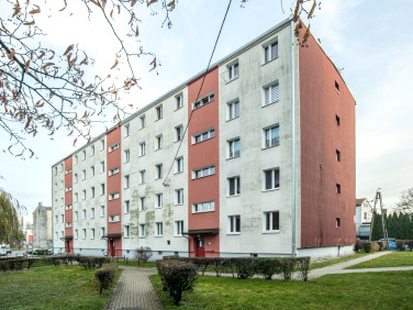 Mieszkanie Brzeziny