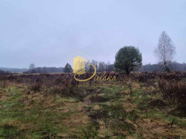 Działka Grzybowce