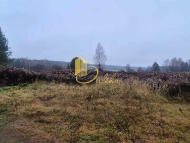 Działka budowlana sprzedam