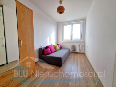 Mieszkanie Głogów wynajem