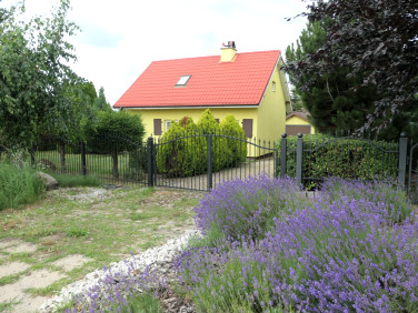 Dom Kwidzyn sprzedaż