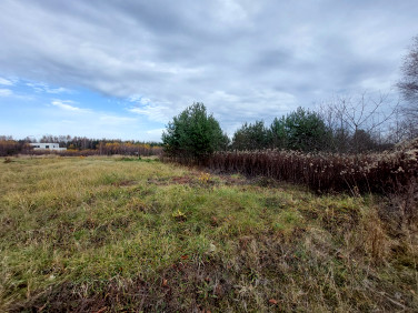 Działka budowlana Miasteczko Śląskie