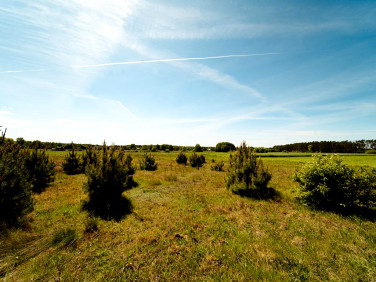 Działka rolna Kamiennik