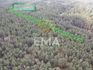 Działka leśna Prusicko