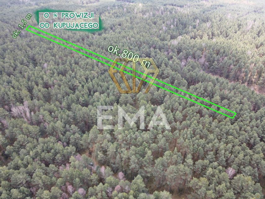 Działka leśna Prusicko