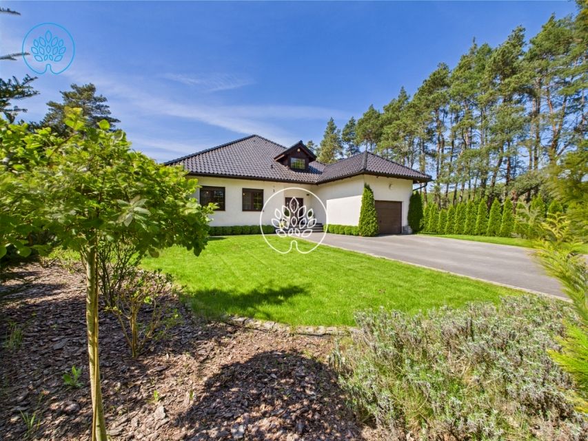 Dom Lisi Ogon sprzedaż