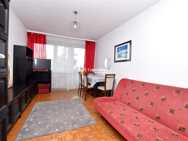 Mieszkanie Toruń sprzedaż