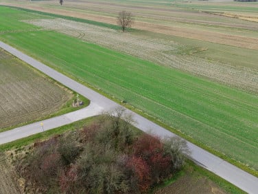 Działka budowlana Wojszyn