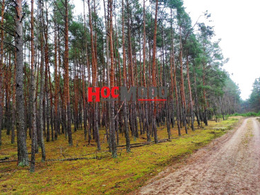 Działka rekreacyjna Huta Podgórna