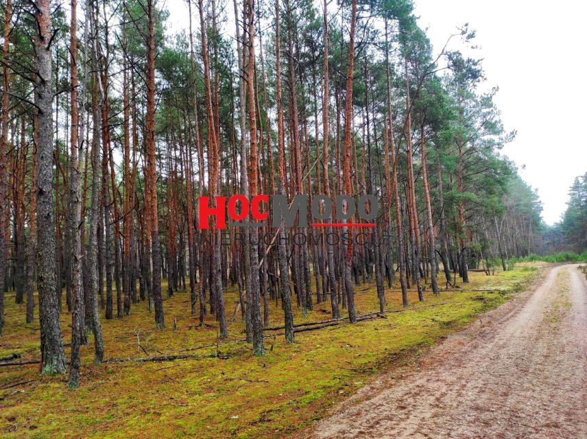 Działka rekreacyjna Huta Podgórna