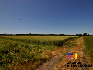 Działka rolna Zielona Góra