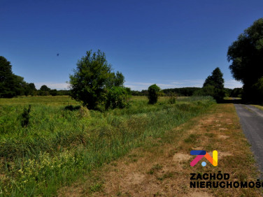 Działka rolna Zielona Góra