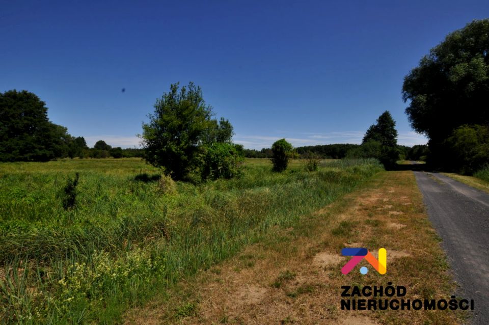 Działka rolna Zielona Góra