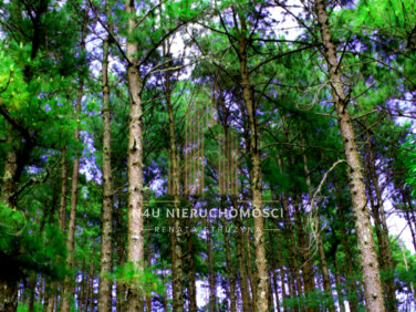 Działka Żabia Wola