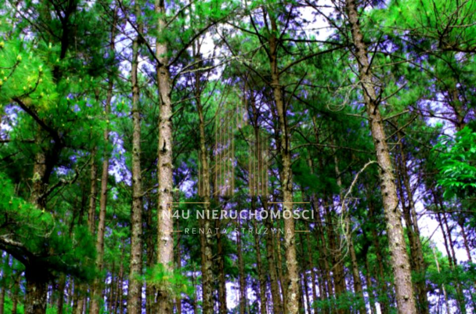 Działka Żabia Wola