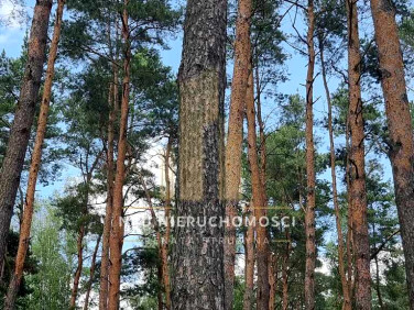 Działka budowlana Władysławów sprzedam