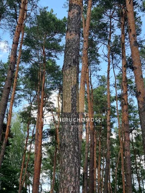 Działka budowlana Władysławów sprzedam