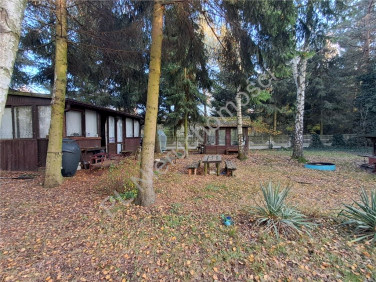 Działka Budy Michałowskie