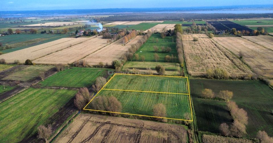 Działka rolna Krzewsk