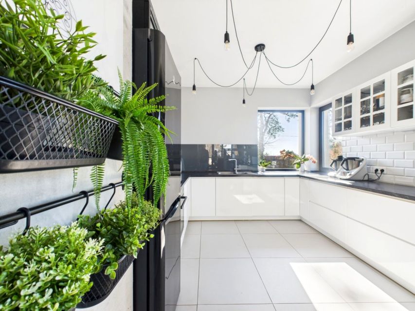 Dom Kalinko sprzedaż