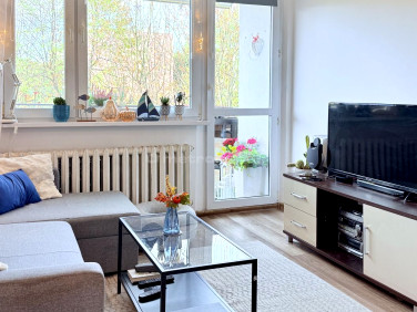 Mieszkanie Bielsko-Biała