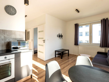 Mieszkanie Bolesławiec wynajem