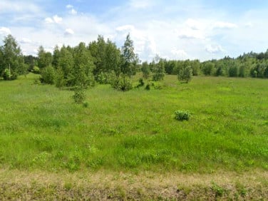 Działka inwestycyjna Pyrzowice