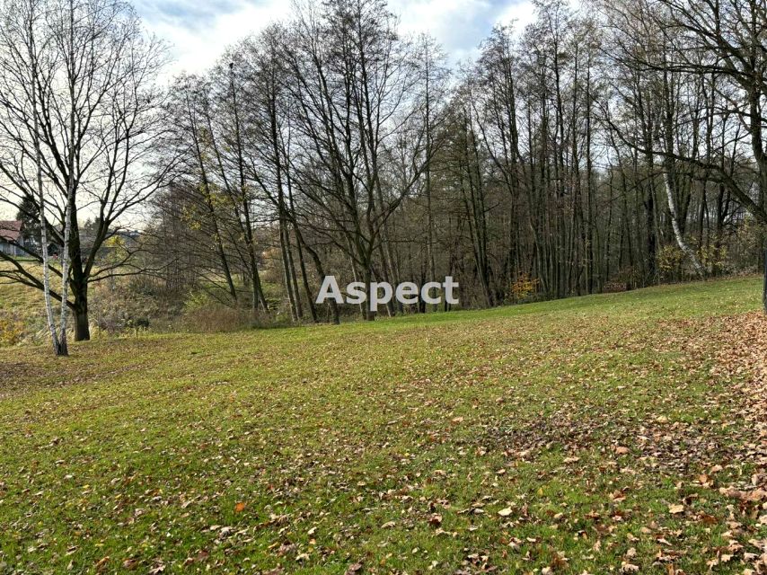 Działka budowlana Wodzisław Śląski