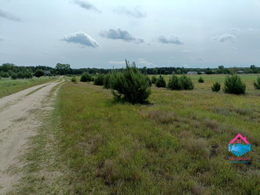 Działka Rosocha-Kolonia