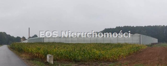 Budynek użytkowy Zamęty