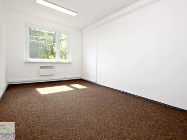 Lokal Siemianowice Śląskie wynajem