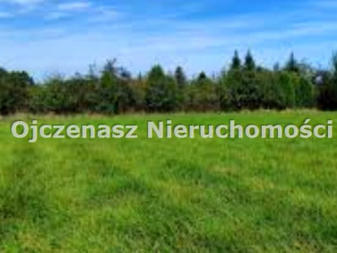 Działka budowlana Chełmno