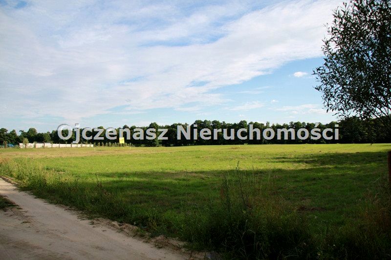 Działka budowlana Skępe