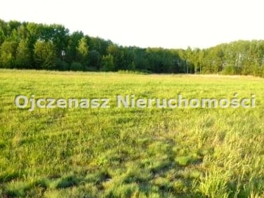 Działka budowlano-rolna Czarnowo