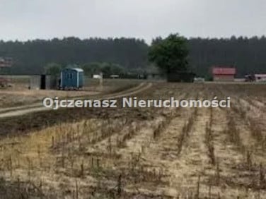 Działka budowlana Stary Jasiniec