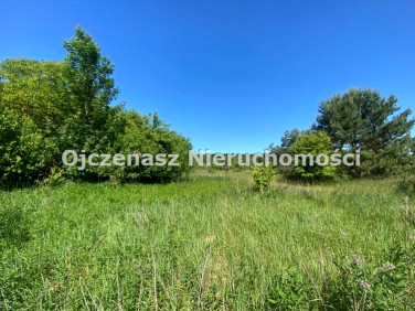 Działka budowlana Dąbrowa Chełmińska