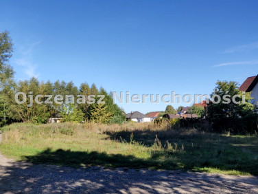 Działka przy lesie