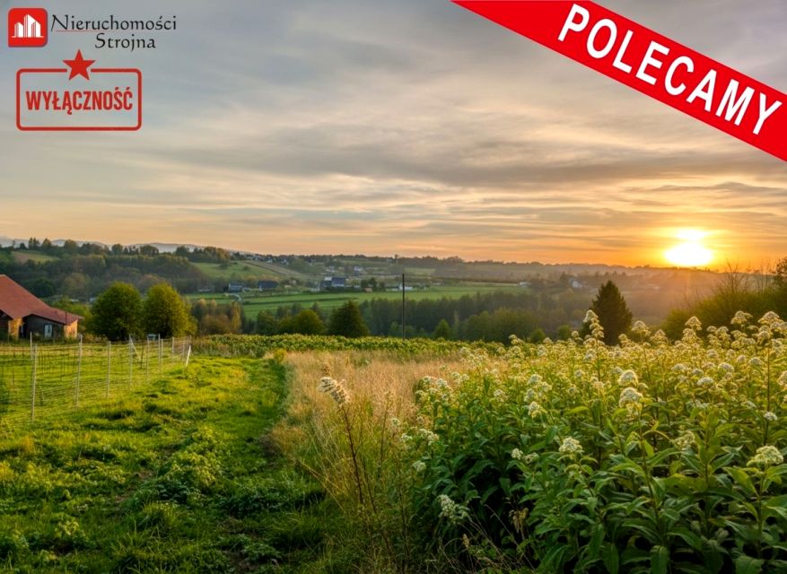 Działka Chorągwica