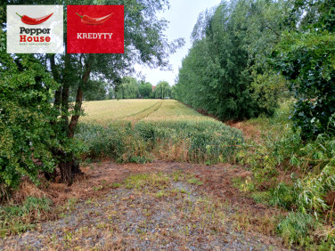 Działka budowlana Ostaszewo