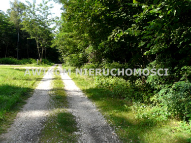 Działka inwestycyjna sprzedam