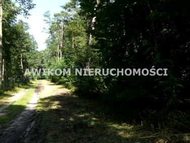 Działka inwestycyjna Olszanka