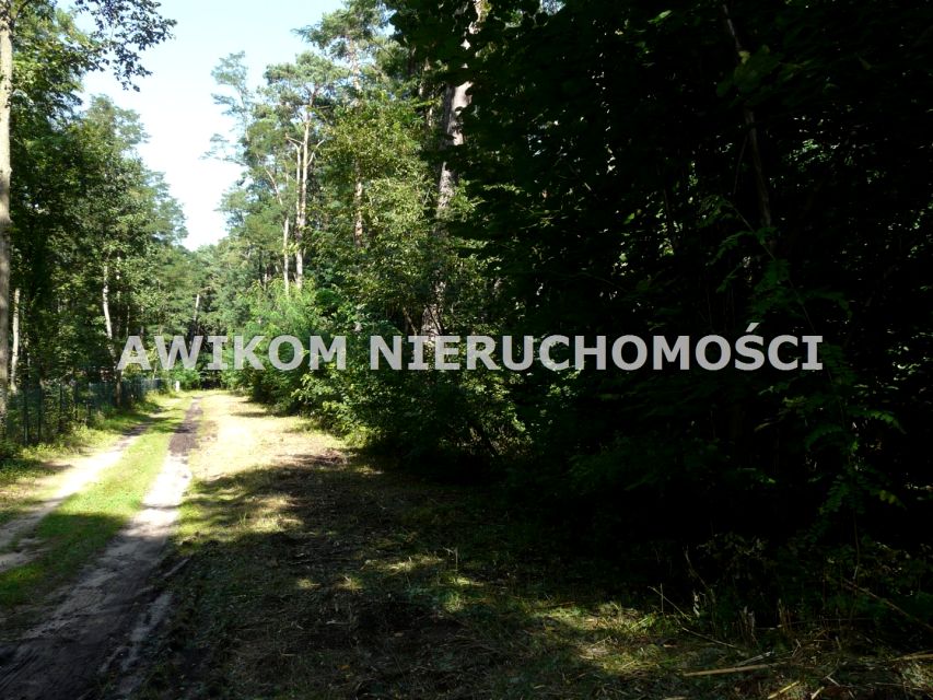 Działka inwestycyjna Olszanka