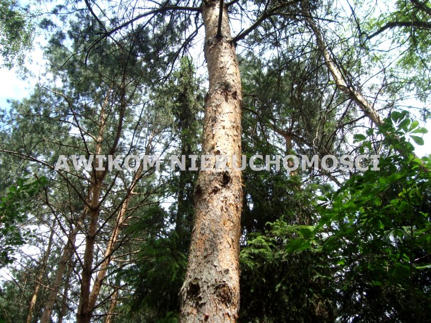 Działka budowlana Podkowa Leśna