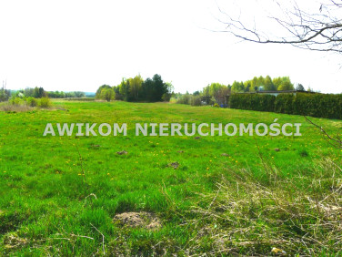 Działka inwestycyjna Budy Chojnackie