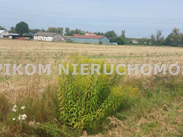 Pusta działka Nieborów